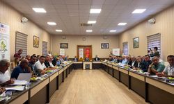 Aydın’ın "Sarı Altını" için tarihi adım! Yeni kurallar, sert yaptırımlar