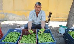 Aydınlı üreticiden gençlere emek çağrısı! “Üretmezsek kaybetmeye mahkum oluruz”