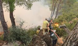 Başkan Kıvrak’tan yangınla mücadele için su tankeri çağrısı