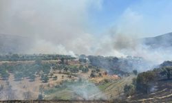Bozdoğan’da yangın büyüyor: Belediye destek istedi