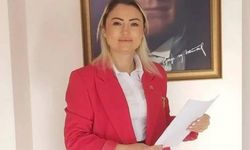 CHP'li eski başkandan Aydın milletvekillerine tepki! "Koltukçular sizi"
