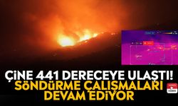 Çine 441 dereceye ulaştı! Söndürme çalışmaları devam ediyor