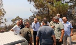 Çine yangınında seferberlik! AK Partili Savaş bölgedeki çalışmaları takip etti
