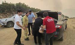 Çine’de yangına karşı büyük dayanışma
