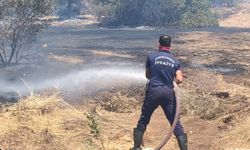 Didim’de alevler karşı seferberlik! Evler son anda kurtarıldı
