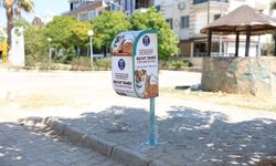 Didim'de bayat ekmek kutuları kent genelinde yaygınlaşıyor