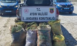 Didim'de "biyo-kaçakçılık"! 8 kişiye işlem yapıldı