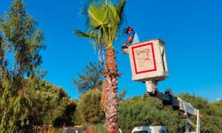Didim’de çalışmalar aralıksız sürüyor