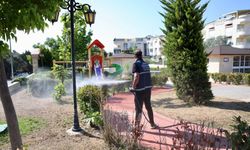 Didim’de ilaçlama çalışmaları hız kesmiyor