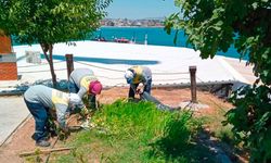 Didim’deki fidanlıkta üretim büyüyor