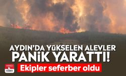 Aydın’da yükselen alevler panik yarattı! Ekipler seferber oldu