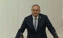 Karakaş'tan Çine'deki yangın için geçmiş olsun mesajı