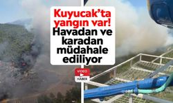 Kuyucak’ta yangın var! Havadan ve karadan müdahale ediliyor
