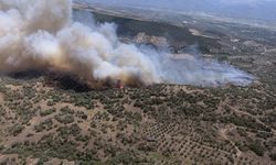 Meteoroloji’den Bozdoğan’daki yangın sonrası kritik rapor!