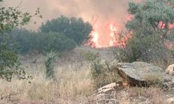 Muğla’daki yangın Bozdoğan’a yaklaşıyor! Ekipler set oluşturdu