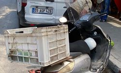 Nazilli’de cadde ortasında birbirlerine girdiler! Kazanın sonu hastanede bitti