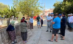 Nazilli’deki 45 yıllık ağaçlara kesim kararı çıktı! Mahalleli ayaklanınca çalışmalar durduruldu