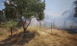 Nazilli’deki yangında sıçramaması için büyük mücadele
