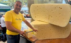 Aydın'da peynir yemek lüks oldu! Kilo ile alışveriş yerini grama bıraktı