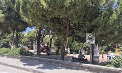 Söke'de Atatürk Parkı Yenileniyor! "Ağaçlar Kesilecek mi?"