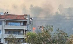 Söke'de korkutan yangın!