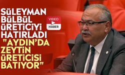 Süleyman Bülbül üreticiyi hatırladı: "Aydın’da zeytin üreticisi batıyor"