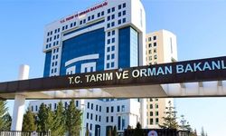 Tarım ve Orman Bakanlığı’ndan 1.874 personel alımı! Başvuru tarihi belli oldu