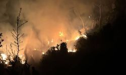 Adalet Bakanı’ndan yangın bilançosu: Aydın’da ağır ihmal!