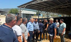 AK Parti Aydın Heyeti Çine Hayvan Pazarın’da! Gelişmeleri yerinde incelediler