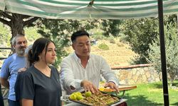 ‘Aydın İnciri’ne Çinli fenomen dopingi