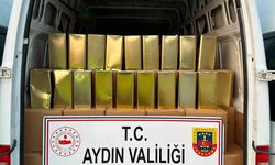 Aydın’da 780 bin liralık sahte zeytinyağı ele geçirildi
