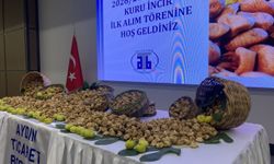 Aydın'da kuru incir sezonu 850 liradan açıldı