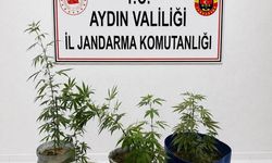 Aydın’daki gençleri zehirleyeceklerdi: Jandarmadan başarılı operasyon