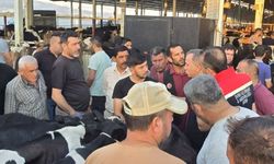 Aydın’daki hayvan pazarlarına sıkı denetim