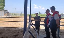 Aydın’daki kadın girişimciden 2 yıllık azim sonucu örnek başarı