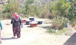 Aydınlı kadınlar organik ve sağlıklı beslenme için kolları sıvadı! Kışlık tarhana için hummalı hazırlık