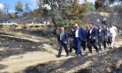 Bakan Yardımcısı Bulut ve Vali Varol Çine yangın bölgesinde