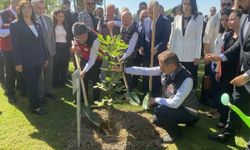 Bakan Yumaklı incir fidanı dikti: "Aydın'da bir dikili ağacım olmuş oldu"