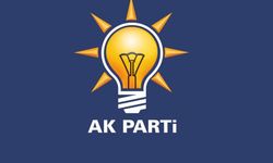 Çiçeği burnunda AK Partili Karakaş’ın meclis karnesi belli oldu