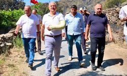 Çine Belediye Başkanı Kıvrak milyonluk desteği değerlendirdi