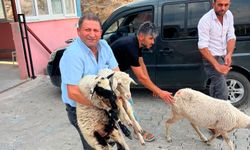 Çine’deki afetzedeler için başlatılan kampanya büyüdü