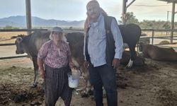 Çine’deki yangın bölgesinde yörük eli! Yangından etkilenen üreticiye yem desteği