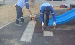 Didim Belediyesi'nden parklarda yenileme çalışması