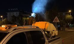Didim haşerelere karşı korunuyor