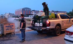 Didim’de vektöre karşı etkin mücadele