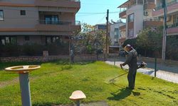 Didim’de yeşil alanlarda çalışma sürüyor