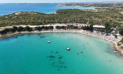 Didim’in masmavi koylarında tatil imkanı