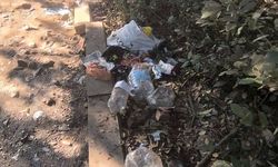 Kuşadası Dilek Yarımadası'nda içler acısı görüntü