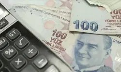 Aydın'da bu mesleği yapanlar servet kazanıyor! Aylık geliri duyan şaşırıyor