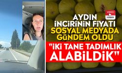 Aydın incirinin fiyatı sosyal medyada gündem oldu: "İki tane tadımlık alabildik"
